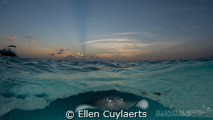 Good night!
Sandbar at sunset! by Ellen Cuylaerts 